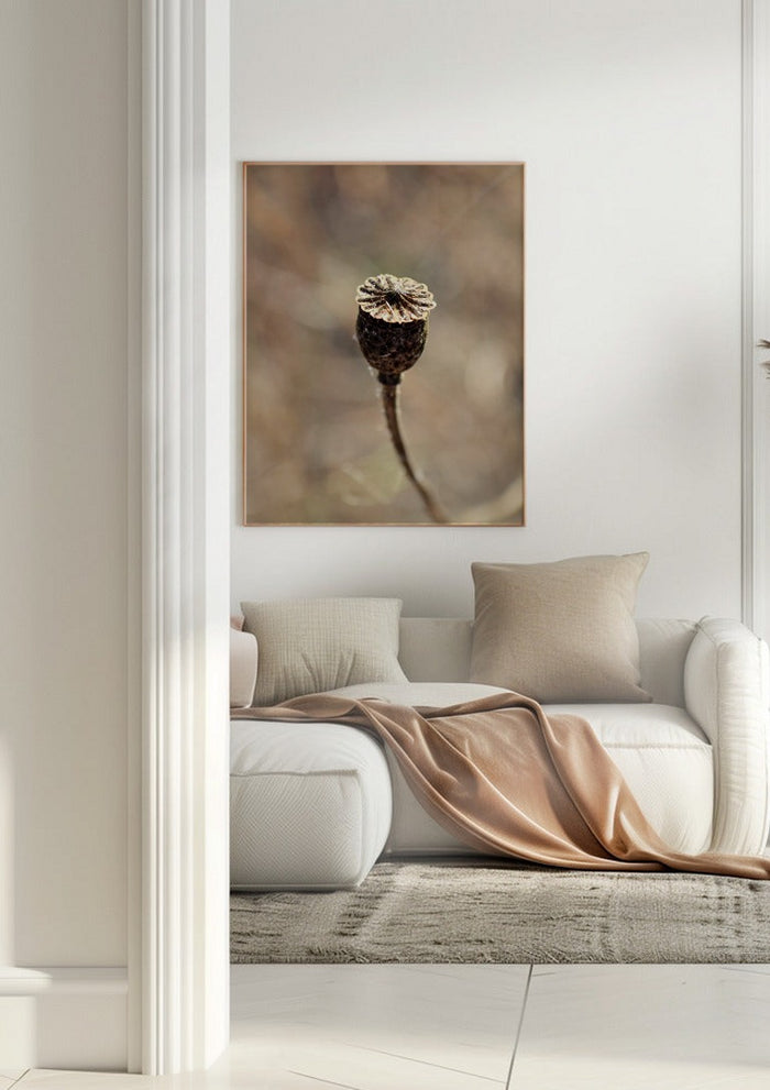 A Poppy Pod - Anna Milewska
