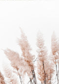 Minimalist abstract print of beige reed plants against a white background, featured on the Abstact Reeds No. 3 Plakat page.