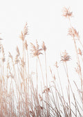 Minimalist poster featuring abstract reeds against a white background, perfect for modern home decor.