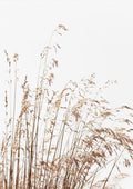 Minimalist artwork featuring delicate, abstract reeds against a light background for Abstract Reeds No. 2 Plakat.