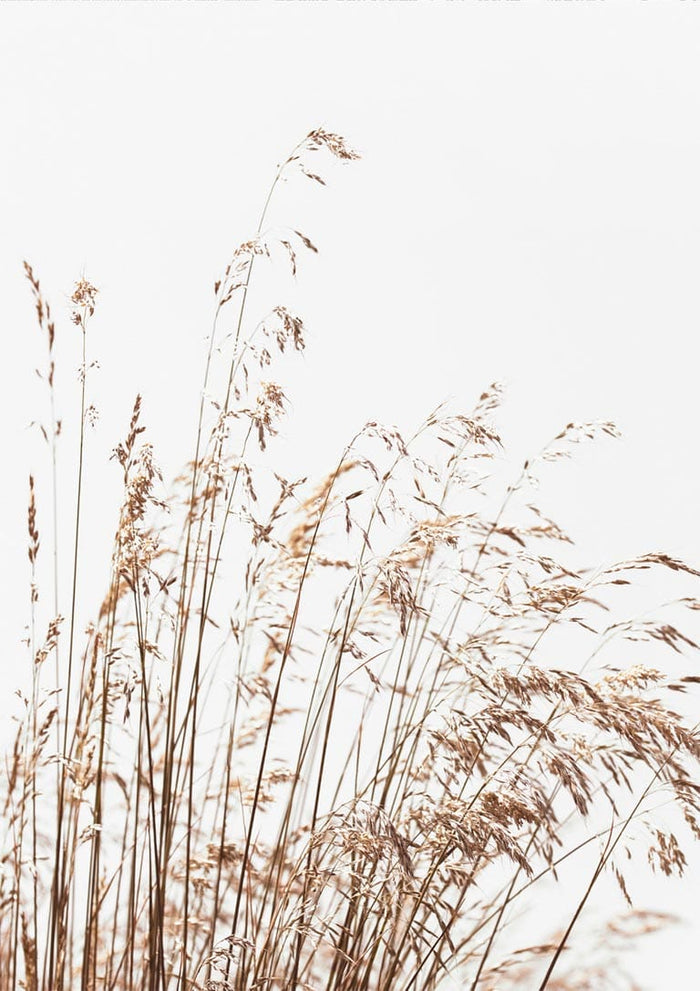 Minimalist artwork featuring delicate, abstract reeds against a light background for Abstract Reeds No. 2 Plakat.