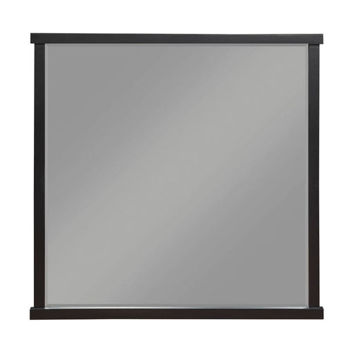 Acworth - Mirror - Brown / Black