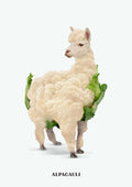 Alpacauli by Jonas Loose - an alpaca's head and legs joined to a cauliflower on a pale grey-white ground