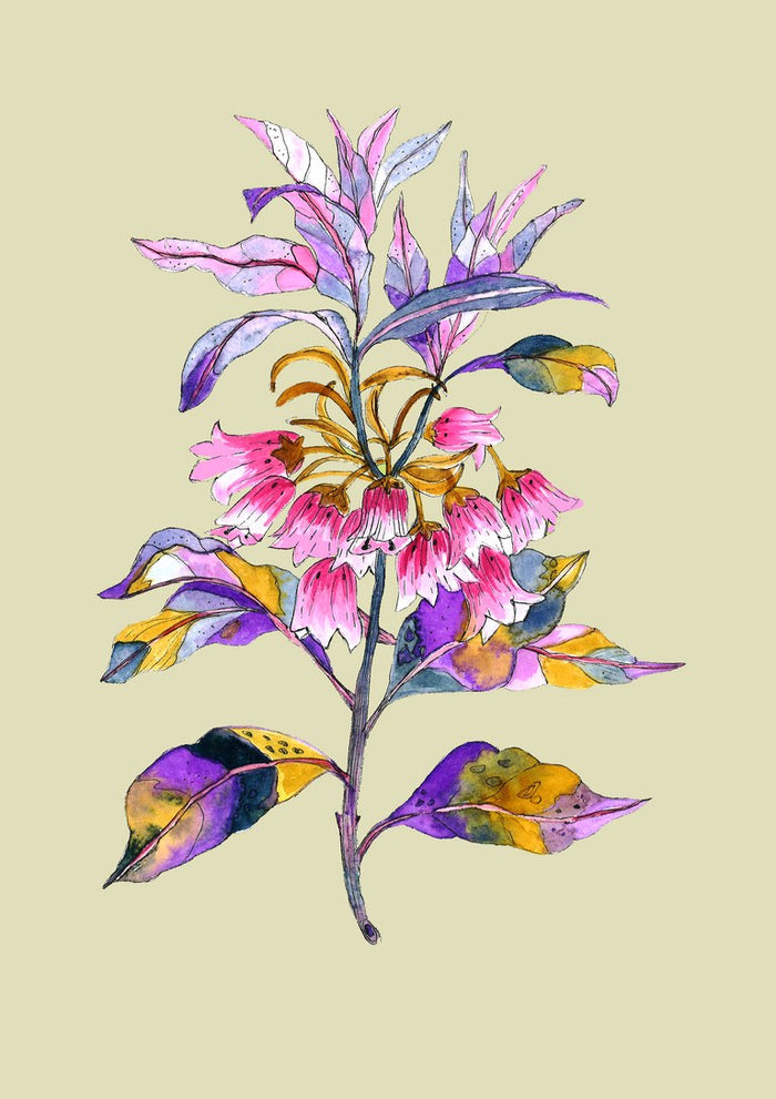 Bells by Marjorie Salvagni - branch of pink bell flowers on sage green