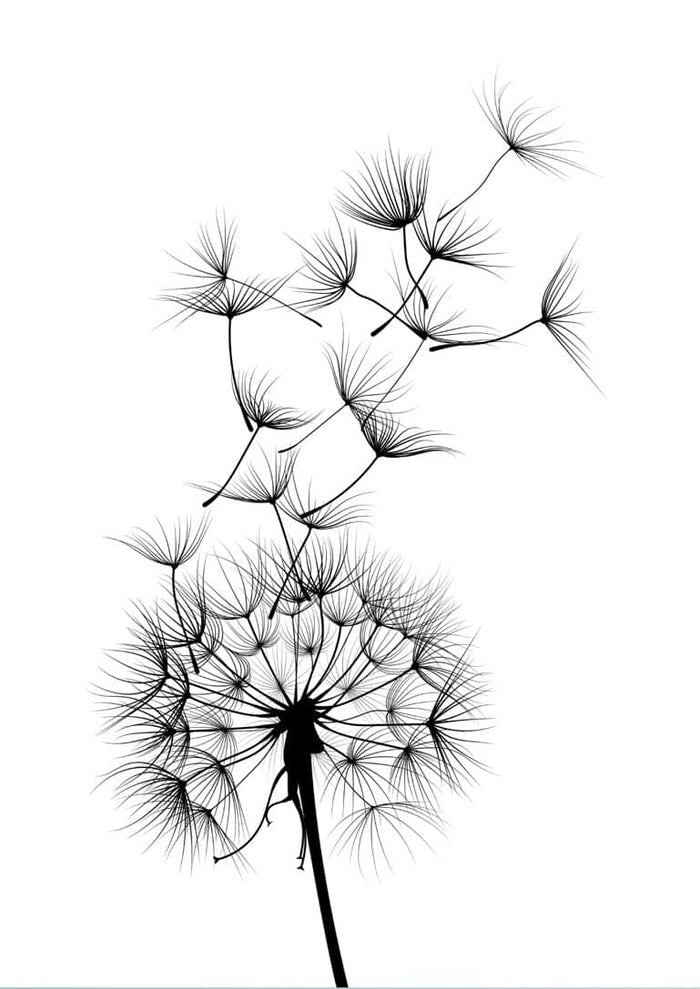 Minimalist black dandelion flower with seeds blowing in the wind on a white background poster.