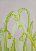 Bucaneve e steli verdi by Maria Emanuela Fiori - white snowdrops on green stems against pale lilac-grey