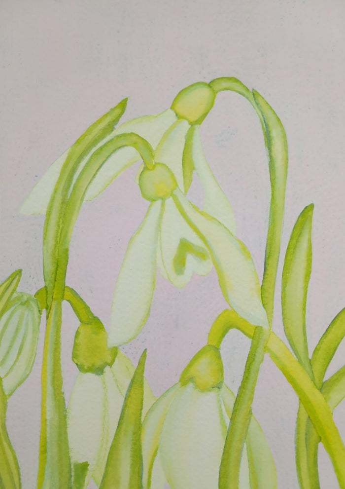Bucaneve e steli verdi by Maria Emanuela Fiori - white snowdrops on green stems against pale lilac-grey