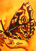 Butterfly in Amber by Cristina Iacob - maroon and scarlet butterfly wings against a ground of amber and gold