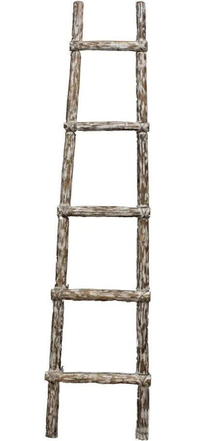 CARLSBAD 6 Foot Accent Ladder