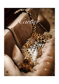 A leopard lounges on a luxurious beige velvet sofa, showcasing elegance for Cartier Fashion.