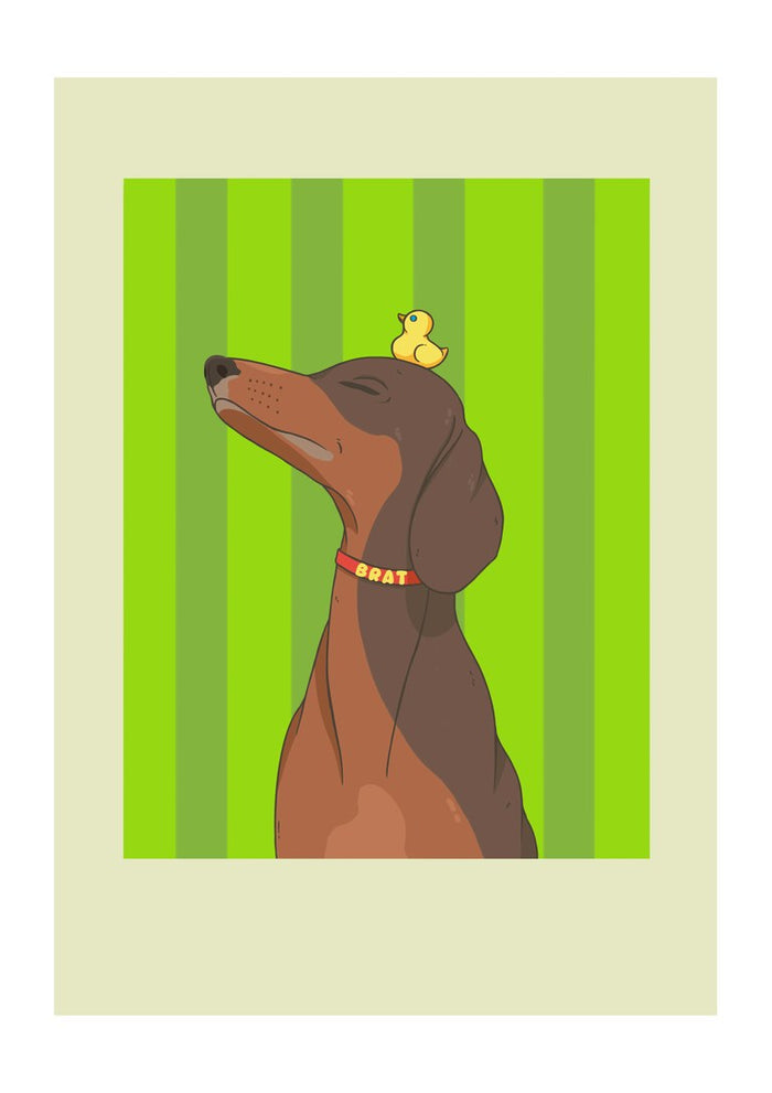 Certified Brat by Jakob Falkenberg - brown dachshund with a rubber duck on its head against green stripes