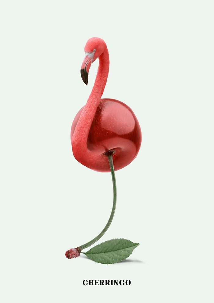 Cherringo by Jonas Loose - a pink flamingo's neck rising from a dark red cherry on pale mint green