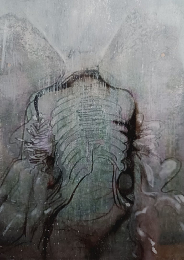 ChrysAlice by Alice Ruja — a headless torso wrapped in a ribbed cocoon with faint butterfly wings, in muted grey-green and brown.