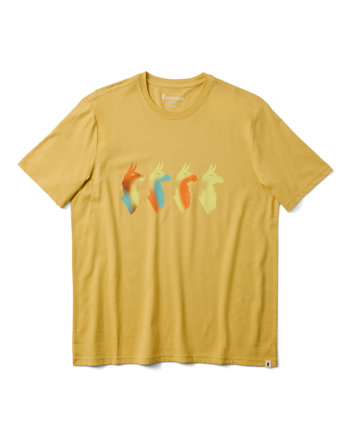 Cuatro Bitmap T-Shirt - Men's, Husk