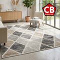 DILWYN 5' x 8' Area Rug