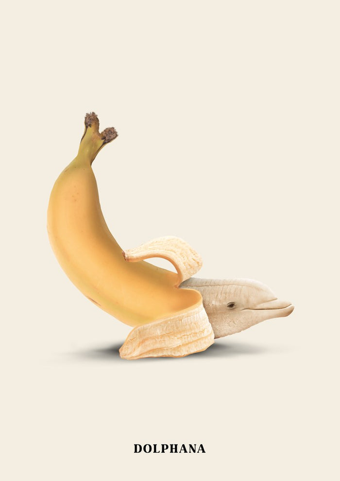 Dolphana by Jonas Loose - a peeled banana revealing a dolphin's head on a cream ground