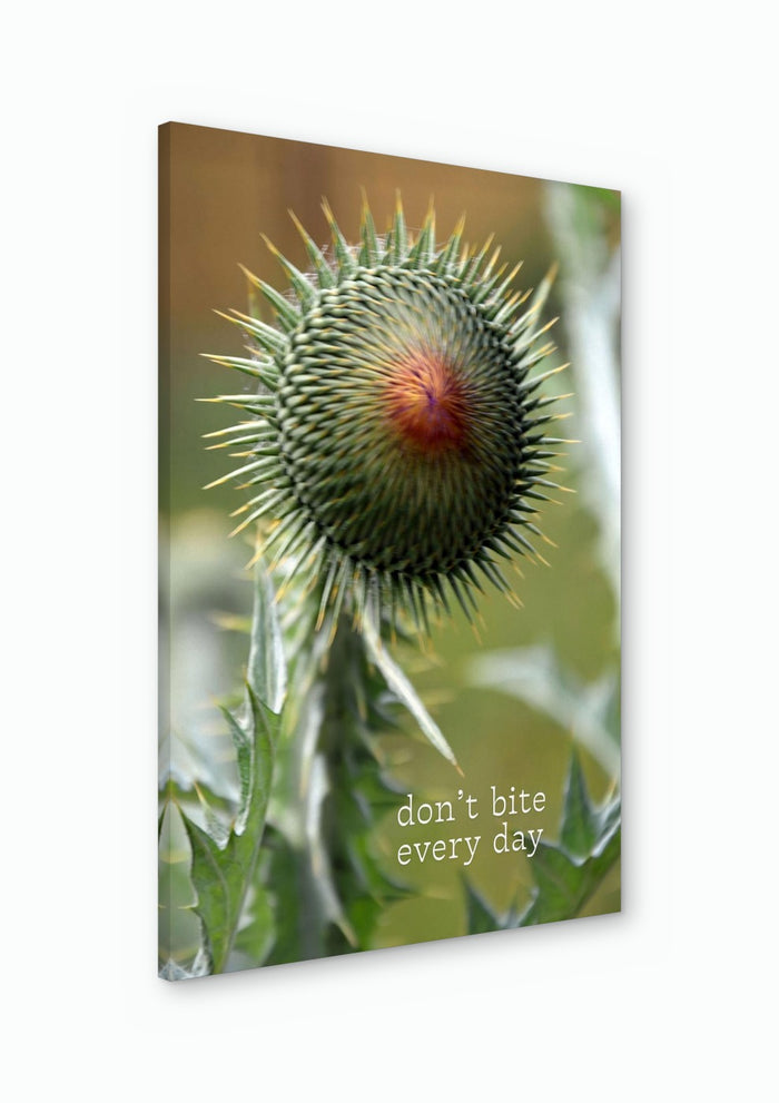 Don't Bite Every Day - Anna Milewska