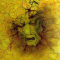 Drought by Cristina Iacob - a face under cracked yellow-green plates threaded with dark red fissures