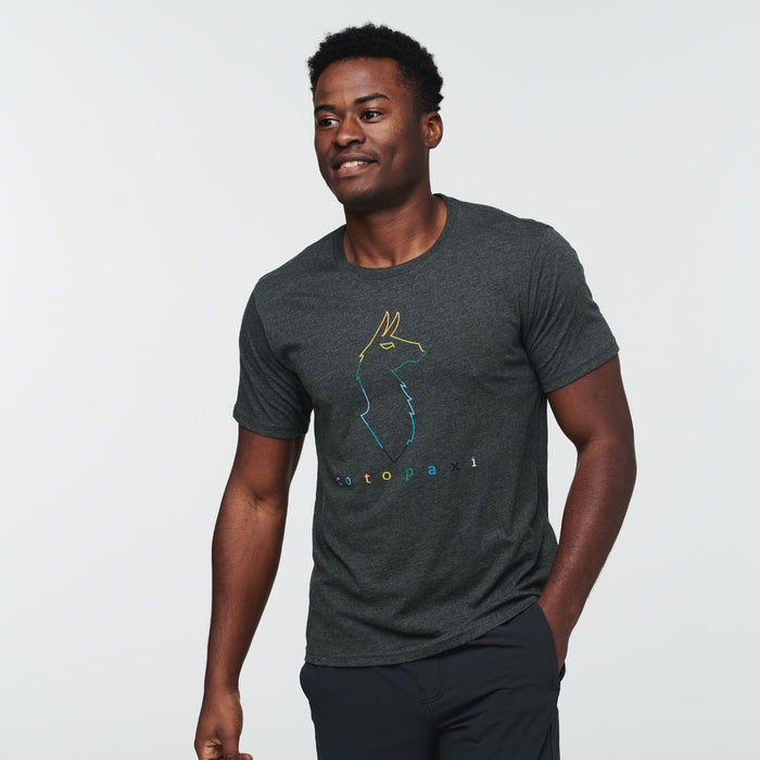 Electric Llama T-Shirt - Men's, Iron