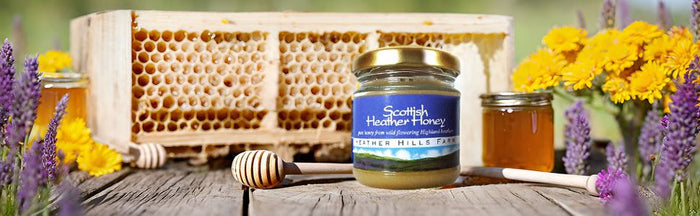 Heather Hills Scottish Honey 4oz
