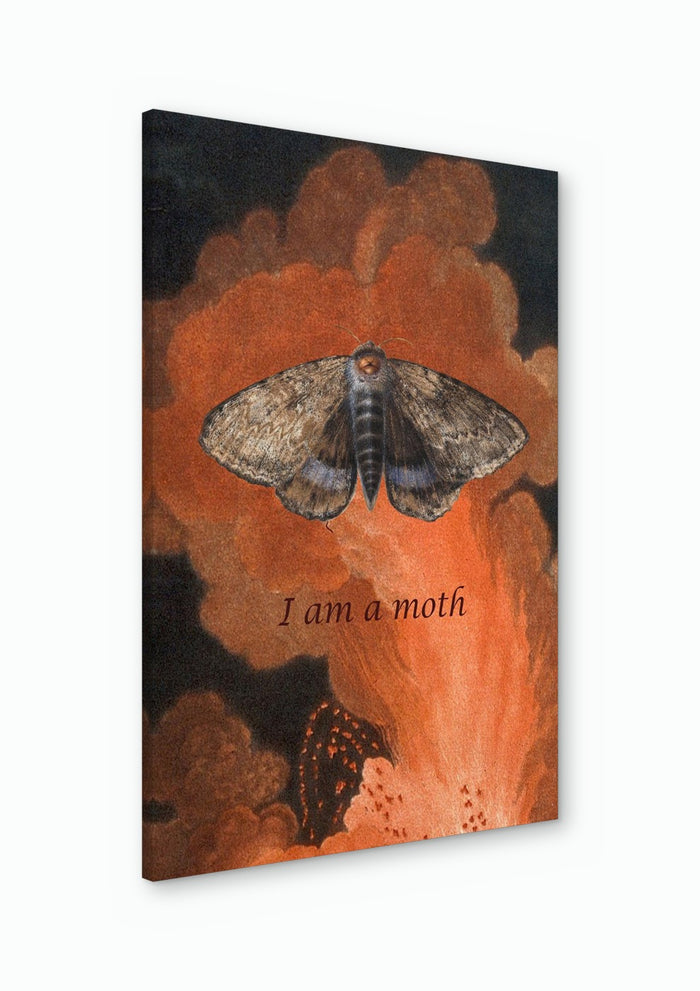 I Am a Moth - Anna Milewska