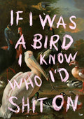 If I Was A Bird by Jonas Loose - pale pink capitals over an old master painting of pelicans, cranes and ducks