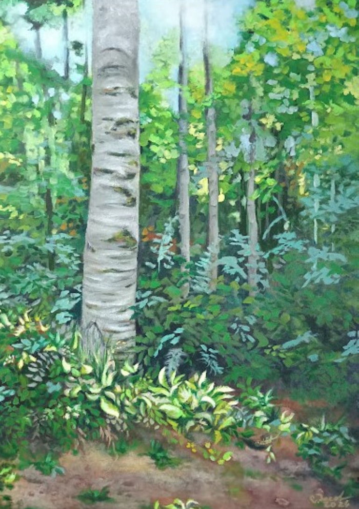 In the Silence of the Forest by Cristina Iacob - a white birch against green canopy and a bare forest path