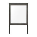 Lenior - Mirror - Gray