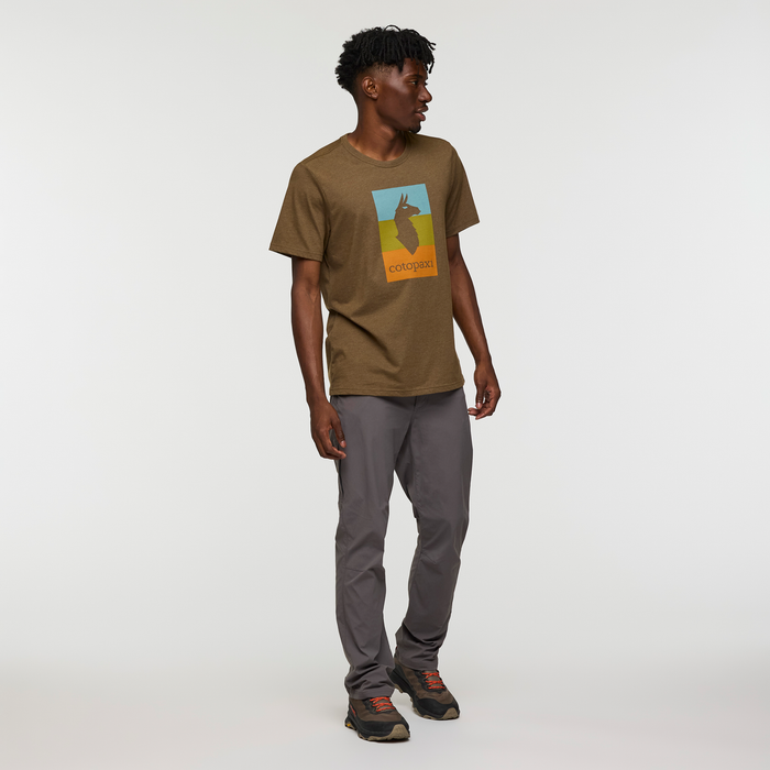 Llama Block T-Shirt - Men's, Live Oak, Model Nicolas