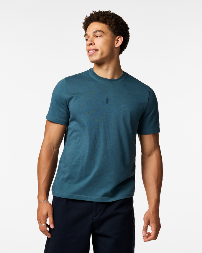 Llama Icon T-Shirt - Men's, Ocean, Model Luke