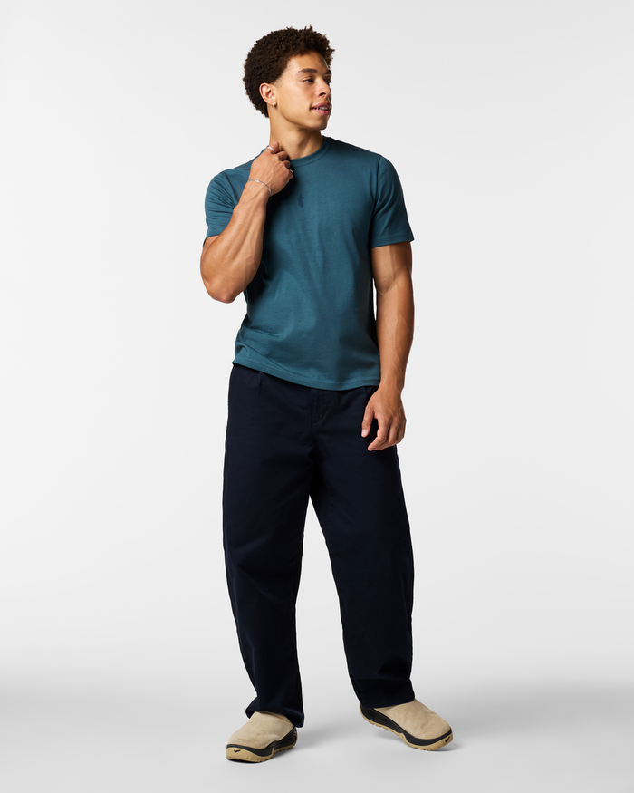 Llama Icon T-Shirt - Men's, Ocean, Model Luke
