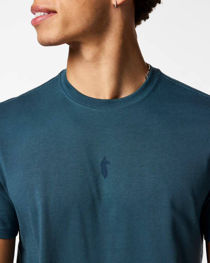 Llama Icon T-Shirt - Men's, Ocean, Model Luke