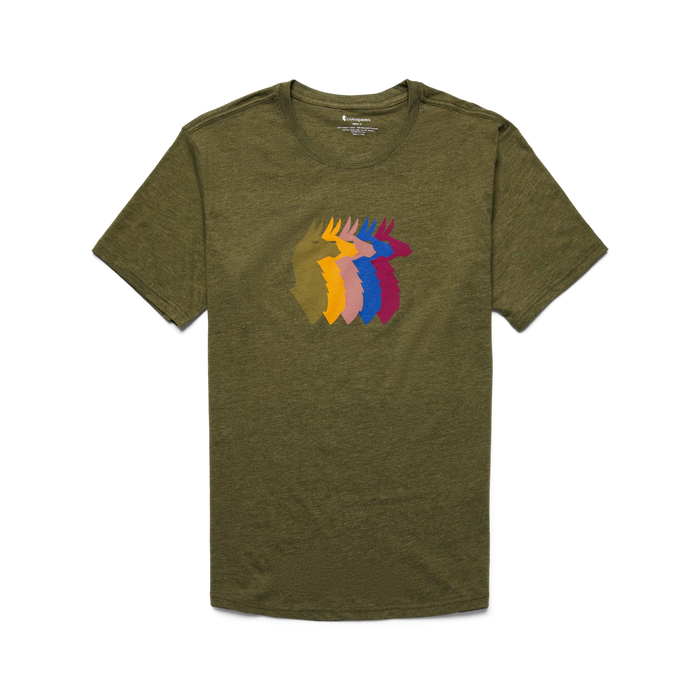 Llama Sequence Organic T-Shirt - Men's, Pine