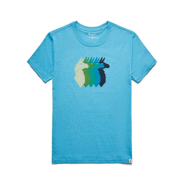 Llama Sequence Organic T-Shirt - Women's, Poolside