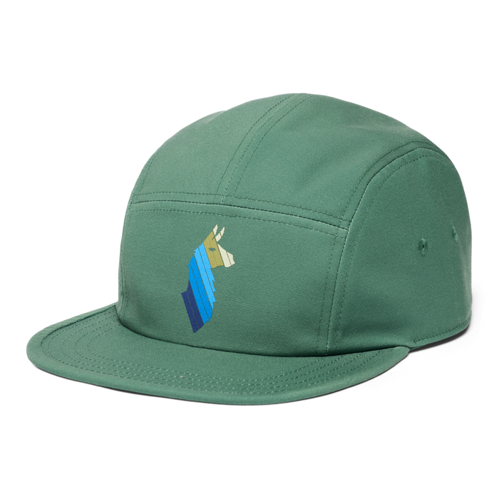 Llama Stripes 5-Panel Hat, Vine