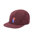 Llama Stripes 5-Panel Hat, Wine