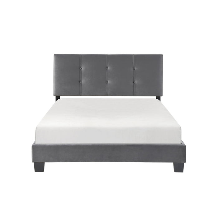 Newberry - Platform Bed