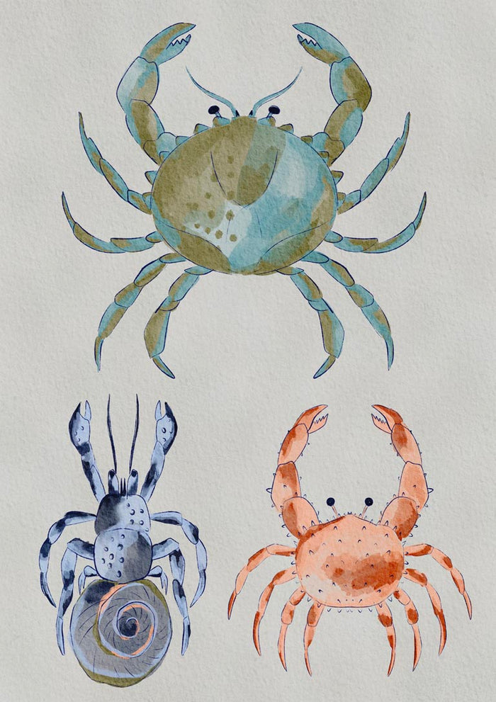 Ocean Crabs Watercolor - Nikita Jariwala