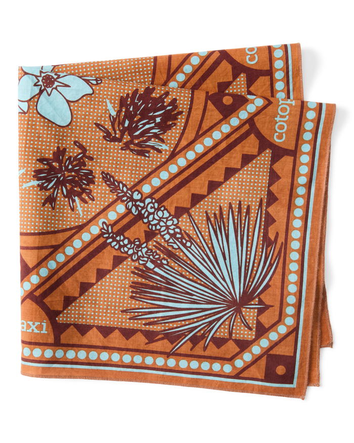 Organic Cotton Bandana, Desert Llama