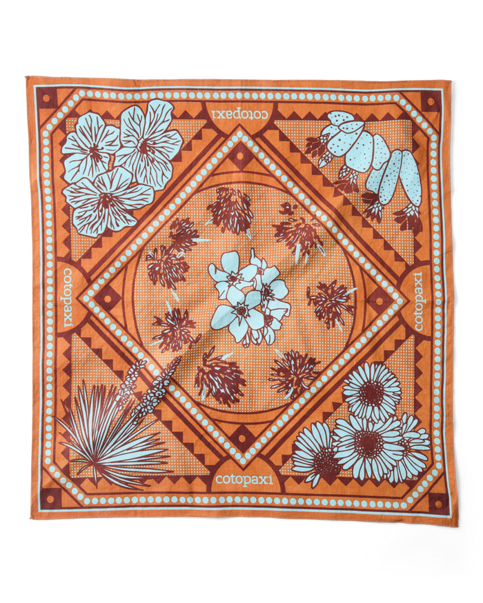 Organic Cotton Bandana, Desert Llama