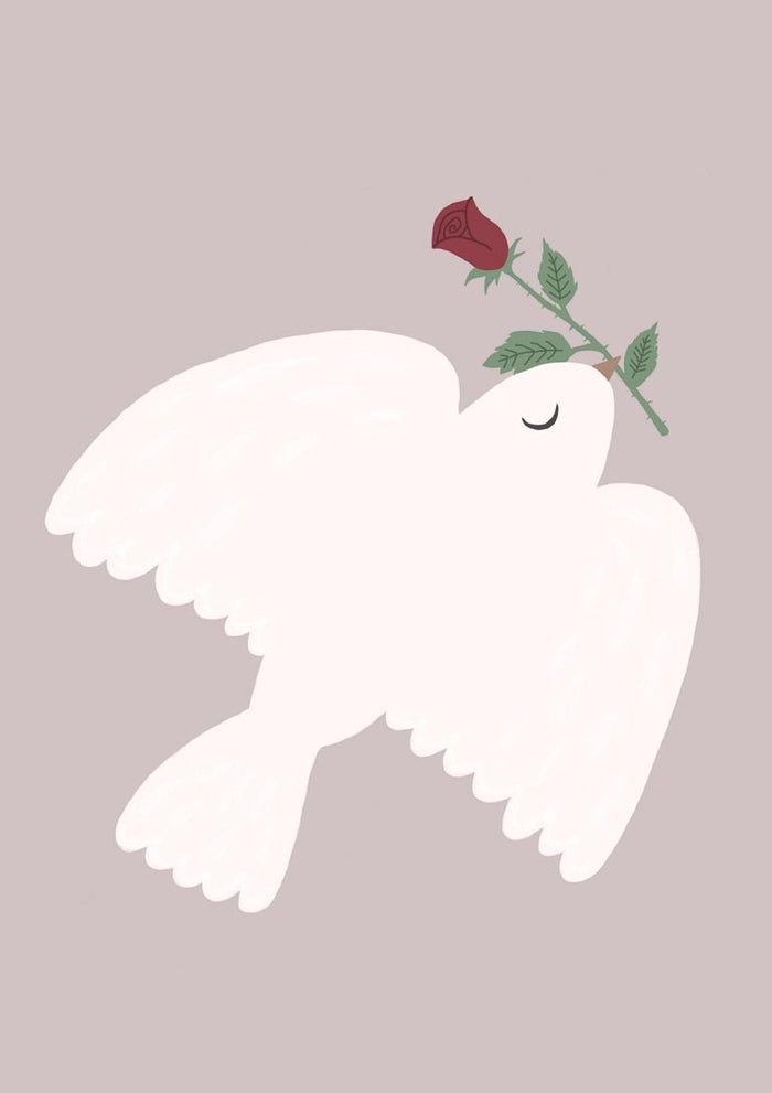 Minimalist illustration of a white dove carrying a red rose against a dusty pink background.