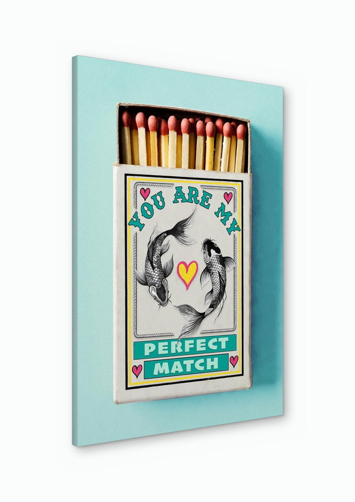 Perfect Match - Daniel Leo