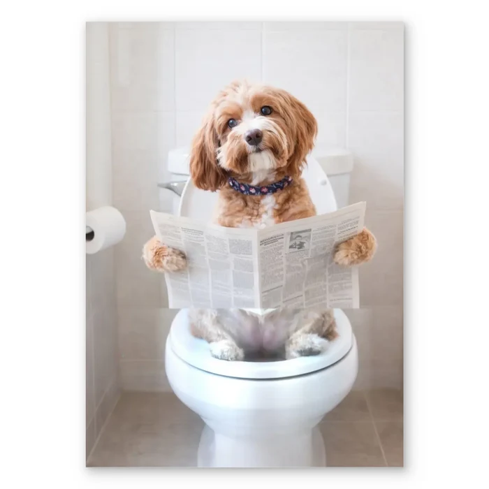 Pet on the Toilet - Personalized Poster