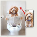 Pet on the Toilet - personaliseret plakat