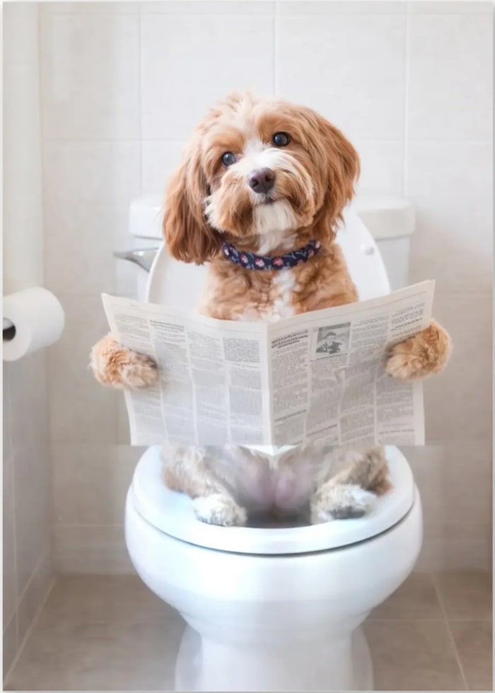 Pet on the Toilet - plakat uden ramme