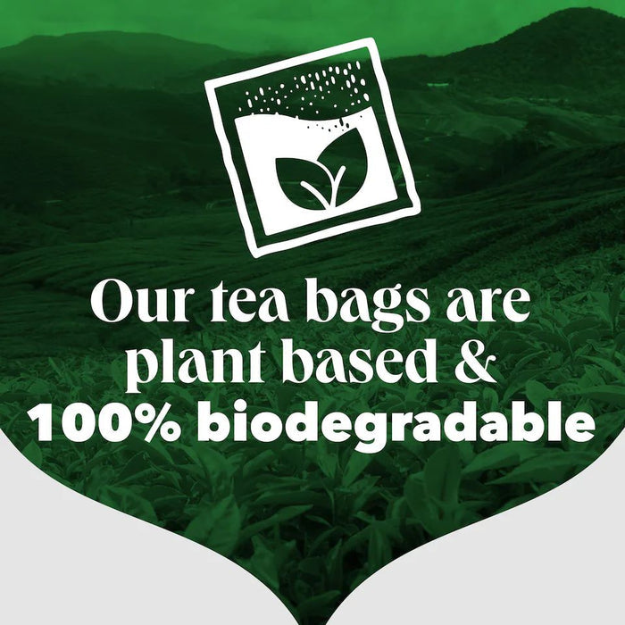 PG Tips Original 160 (Non-Pyramid) Tea Bags