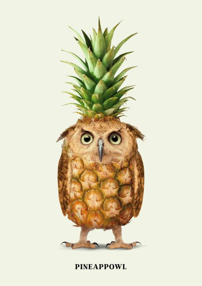 Pineappowl by Jonas Loose - an owl with a golden pineapple breast and a spiky green crown