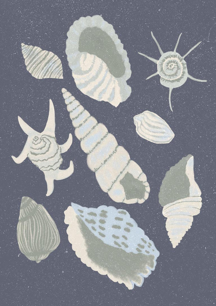 Seashells Collection - Aliya Putrus