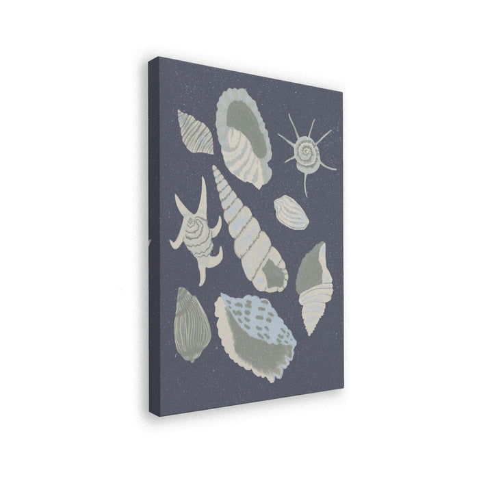 Seashells Collection - Aliya Putrus