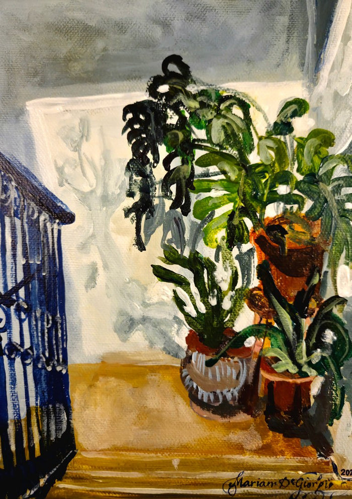 Skylight by Mariam De Giorgio — potted green plants in a sunlit corner beside a dark blue wrought-iron gate